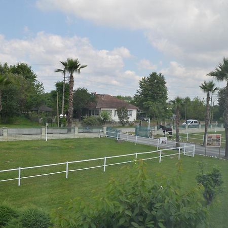 Serbesler Botanik, No 1 Comfortable Villa Сакария Екстериор снимка