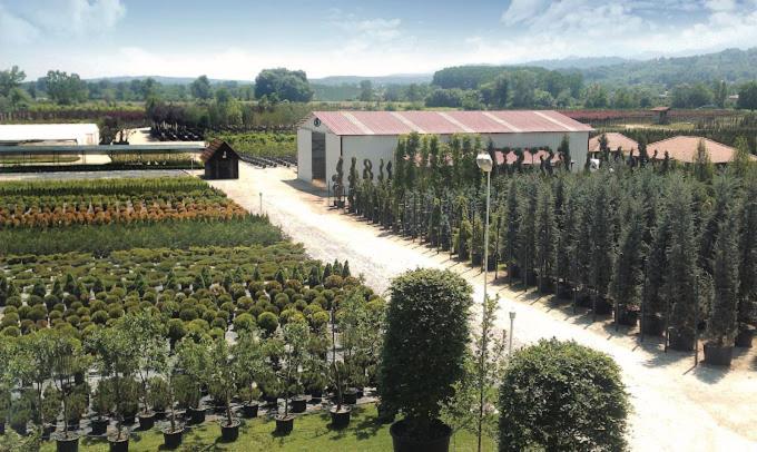 Serbesler Botanik, No 1 Comfortable Villa Сакария Екстериор снимка